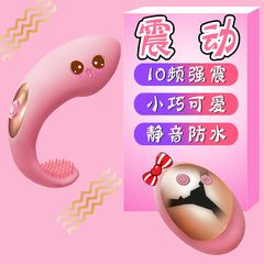 女性用オーガズムバイブレーター、ワイヤレスリモコン付き、陰核刺激、外出時着用可能、バイブレーター