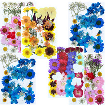 �����ɻ����ϰ� diy�Ʒ���lֲ��Ѻ���M���滨����~�˱�ֲ�ﻨ��