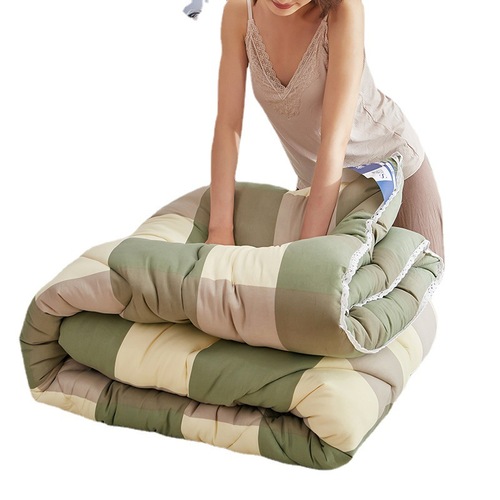 New winter washed cotton thickened winter quilt spring and autumn quilt gift quilt core quilt wholesale group purchase