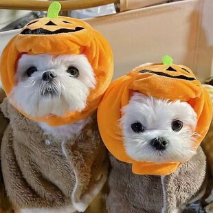 ����؈�乷���Ϲ�؈ñ���f�}�������b��^���ƷС�д�̩�Ϸ���