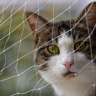 Pet protective cover Cat net bay window grid cover plastic nylon steel wire protective net safety anti-falling net