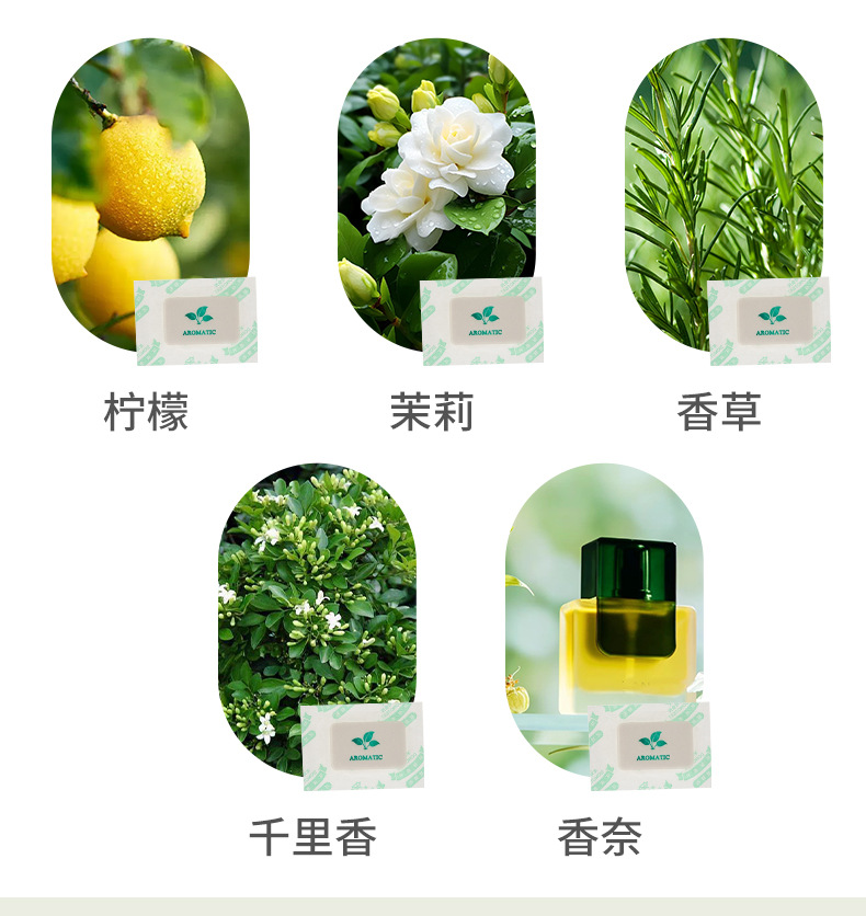 未标题-1---套版_07