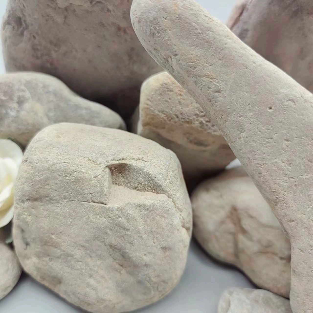 Заводская поставка потока песка аквариум для лазания по черепахе, ландшафтный завод, тротуар с полными спецификациями и красивым внешним видом