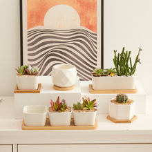 亚马逊热销多肉陶瓷花盆带托盘竹木托小号方圆形盆栽杯垫可定尺寸