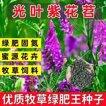 GʷNӷN~ϻҰ㶹@ϻBԴݷNë