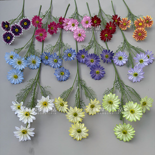 �Ӻ񽁲�4�^��˹�� Ī�λ��@ɫϵ��ˇ���Ļ�Yһվʽ��ُԴ�^��