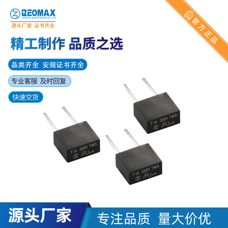瑞迈工厂REOMAX热卖T1.6A 250V MTS  塑封方型保险管 方形保险丝