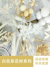 DIY��ɫϵ�ɻ���ȫ����ƿ�������R��ϞƬֲ�ﮋ������ˮ�b���