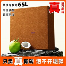 ���ݴ�KҬ�u�I�B��Ҭ���B��ͨ���ͻ���Ҭ���N��Ó�}Ҭ����