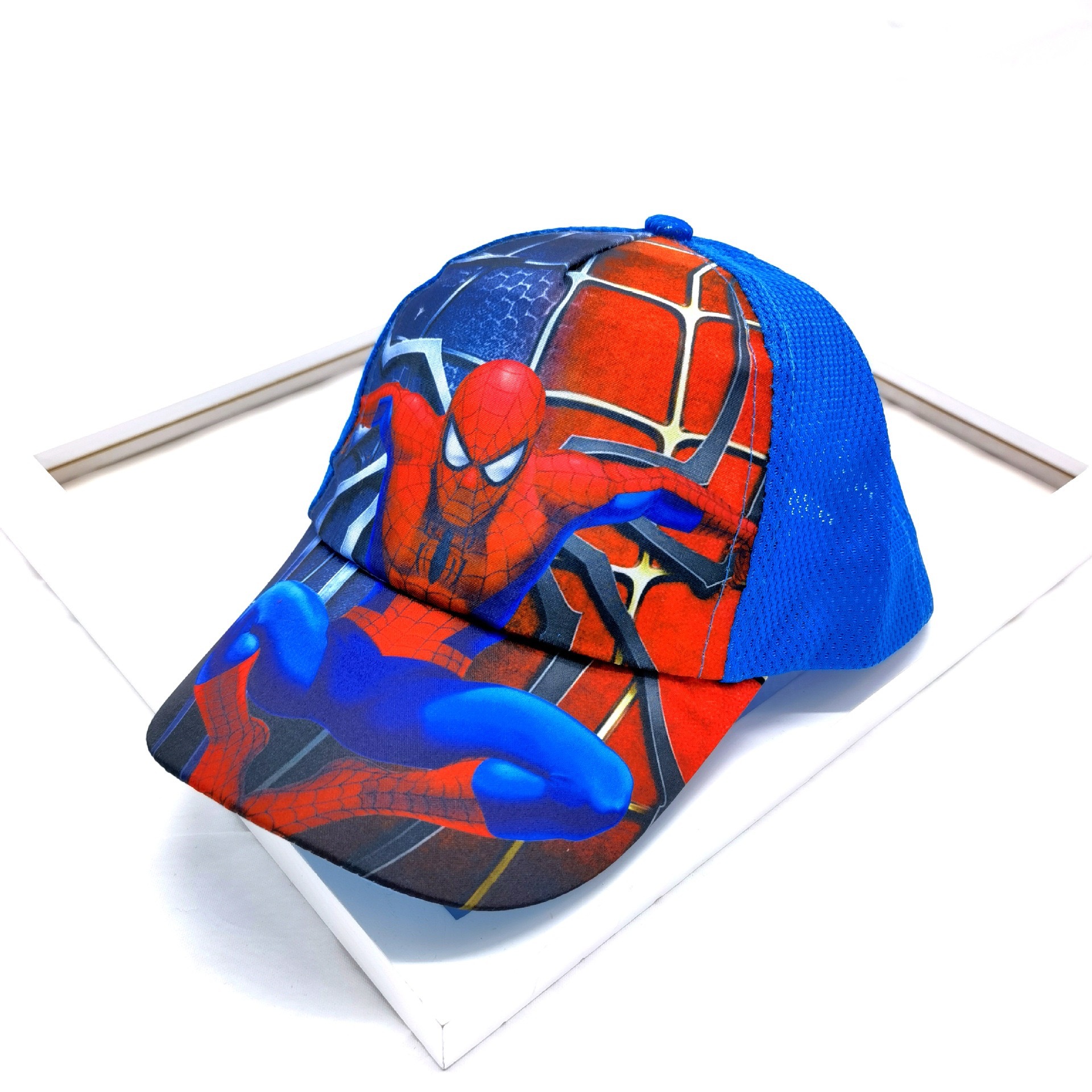 Spider 13