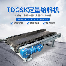 TDGSK定量给料机 皮带秤配料秤 粮食输送设备高精准度输送给料机