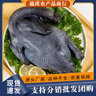 ɢ�B�����u�F�����r���u�r�Ҟ��uС���u���u���r��ĸ�u�ߵ��u��ֻ