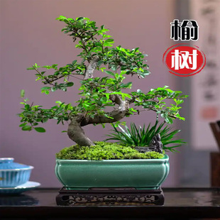 �ܘ��辰������������k���Ҳ������Gֲ�����Ԙ����҃ȿ՚����