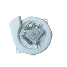 mС 1stCmlәCͨLL늙CCm