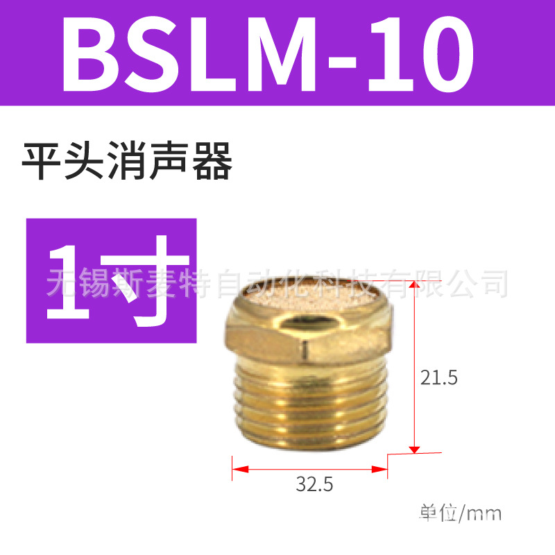 ֱͭ ƽͷBSLM-01/02ŷ 