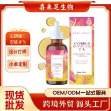 �羳�㸽����Óë���o������tk���^����վ���Ͷ�eBay���Q�|�ρ�