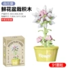 Flowerpot, constructor, English, 91 pieces, 39G