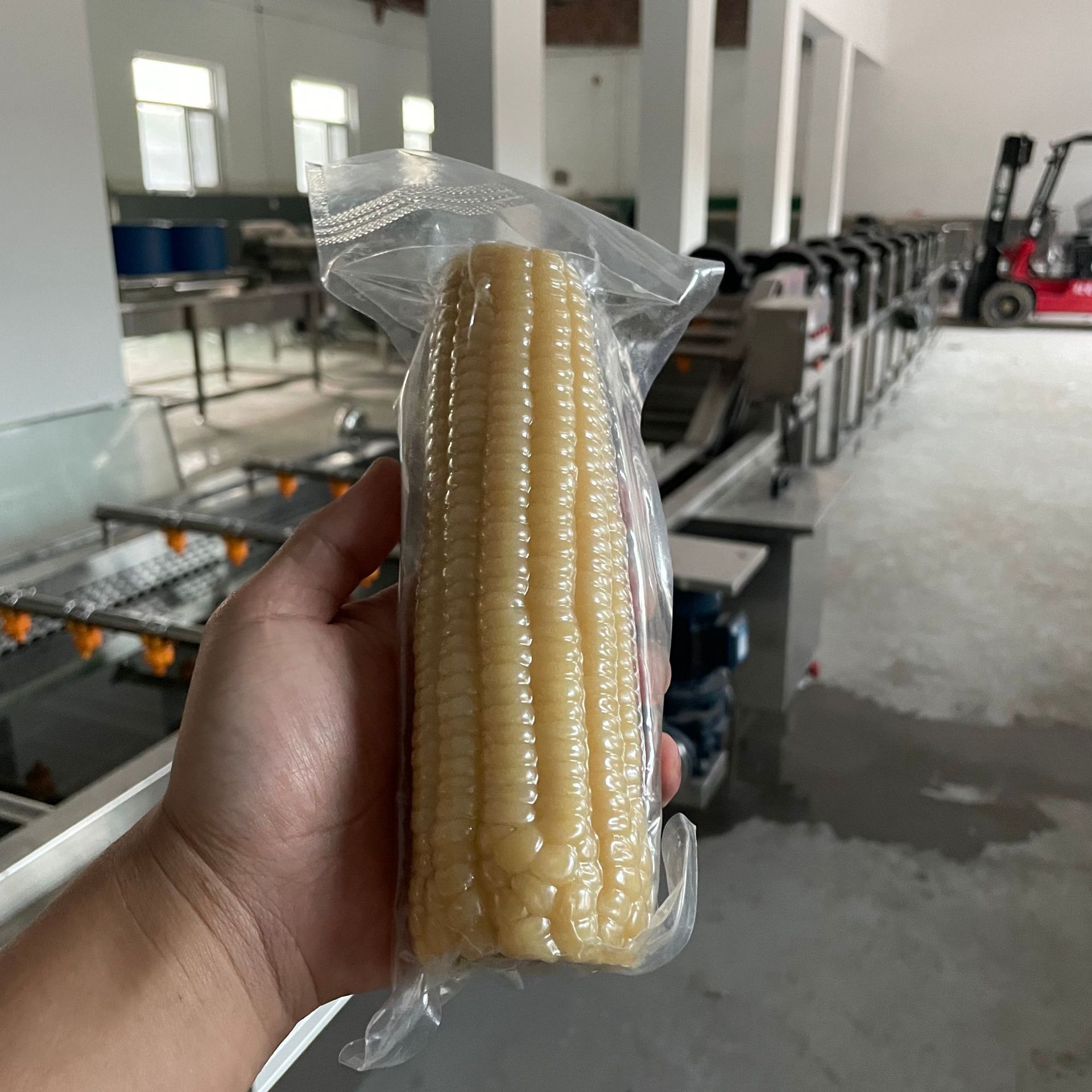 湖南板鸭蒸煮卤制杀菌锅 高温硫化罐 海参粽子玉米反压杀菌锅