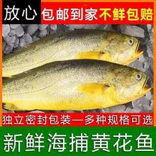 ���S���~һ��һ�l�����S���~���r������亣�rˮ�a���l