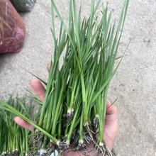 Ұ���� ˮ�S ���׹S �_�׹S �Բ� �߹S �߹� �ԹS ���� ˮ���G��