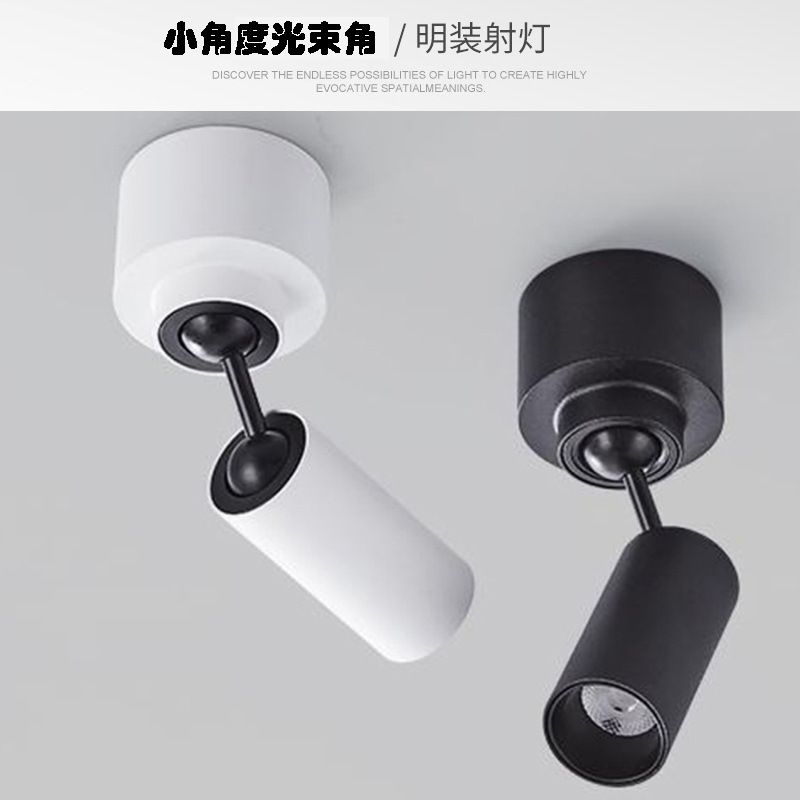 Nord LED Mini Spotlights, Surface Mounted, Adjustable Angle, Ceiling Mounted, for Entrance Hallways, Display Cases, and Special Displays