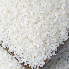 盘珠新米10斤稻花清香5kg东北大米真空10kg蟹田米碱地米农家大米