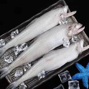 �a��������������~�r��������^�~���r�Ŷ��~����z���~���l