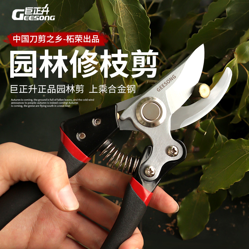 V10修枝剪sk5钢园艺剪刀花卉果枝省力剪刀园林果剪花草外贸修枝剪