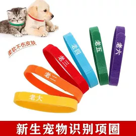 织带;松紧带;魔术贴