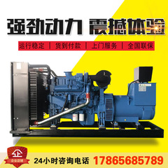 300キロワット発電ユニット玉柴300kw鉱山予備ディーゼル発電ユニット大電力発電ユニット