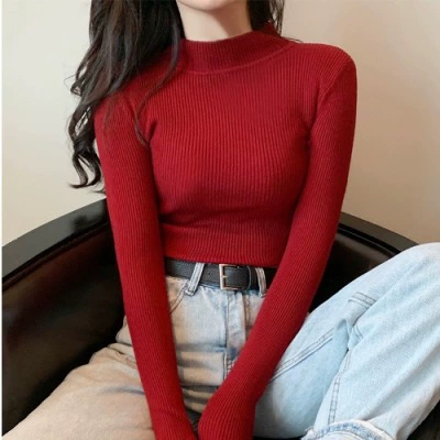 Свитер облегенного кроя из rib-knit, корейский стиль, высокий воротник, длинный рукав, один размер