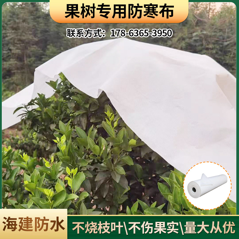 果树防寒布柑橘树木保温园林植物防霜盖花绿化防冻保湿防护无纺
