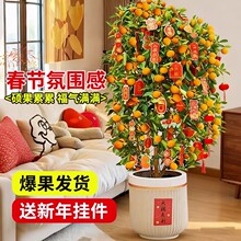 ���ۘ����Ԏ����͏d�Gֲ�k���҃ȴ���ֲ����w��լ��������Ә�