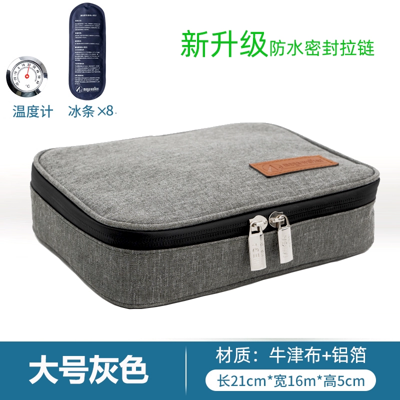 Cooled handheld travel ice bag, small thermal bag