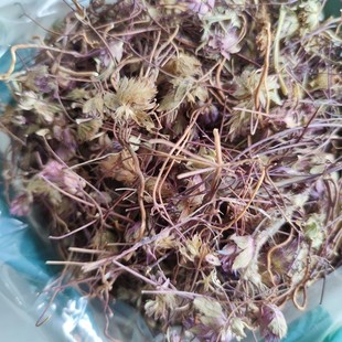 ��ș������ݡ�ţϥ�ݡ�������