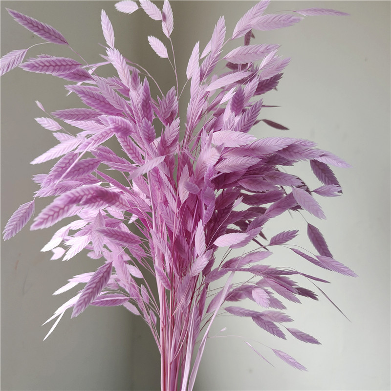 Preserved flower small grass dried flower bouquet ins Nordic diamond grass air-dried real flower decorative ornaments small fat grass