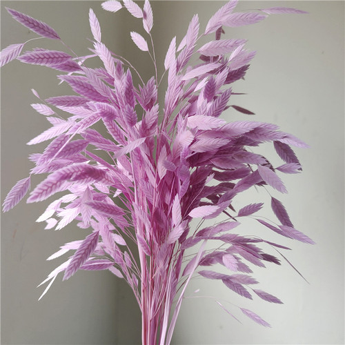 Preserved flower small grass dried flower bouquet ins Nordic diamond grass air-dried real flower decorative ornaments small fat grass