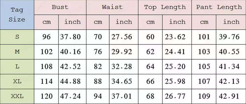 Daily Women's Casual Elegant Solid Color Polyester Pants Sets Pants Sets display picture 1