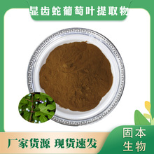 显齿蛇葡萄叶提取物 水溶藤茶粉 莓茶 藤茶浓缩物 莓茶粉厂家包邮