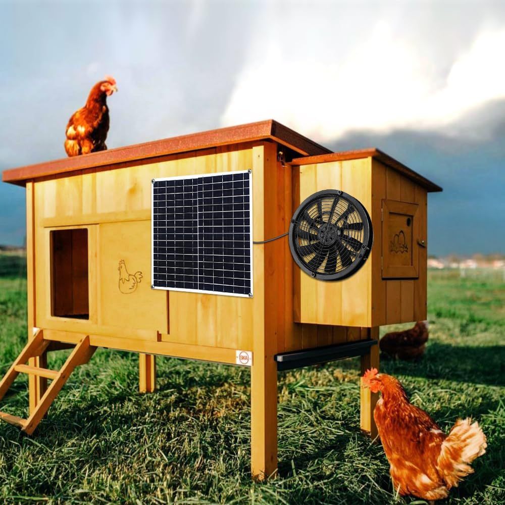 71KnI2kJVTL._AC_SL1000_