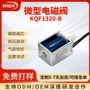 两位定制微型通常排气阀