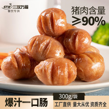 烤肉店专用一口肠台式小香肠冷冻半成品猪肉肠厂家直销量大优惠