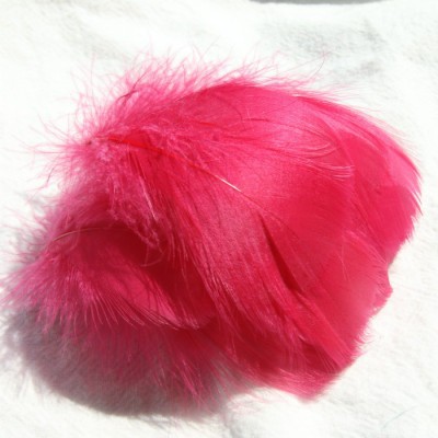 버건디 (100 루트 배치)