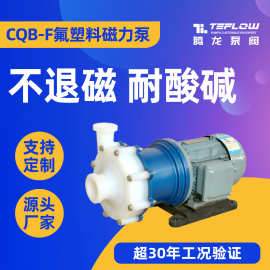 CQB32-20-110F磁力驱动泵 耐酸碱化工泵 耐硝酸磁力泵 氟塑料泵