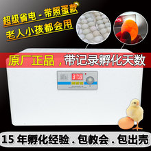 芦丁鸡孵蛋机鸟蛋水床小鸡迷你家用箱孵化机卵生动物自动