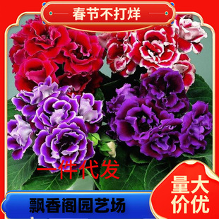 һ�����l�ذ����ͩ���縻�Fܽ�ػ����҃��^�p���Ԏ�����ֱ�l�ļ�