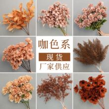 �Wʽ��֦����3�^��߅õ��ٻ��Ҿӻ�c�b[���߼��з��滨���l