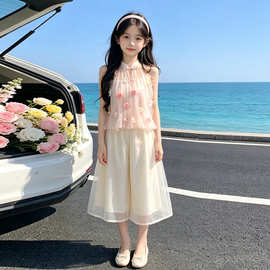 女童夏套装2026新款洋气儿童国风夏装巨好看女孩新中式夏季两件套