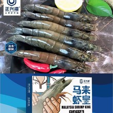 正兴湾马来虾皇,马来白虾,泰虾,马来西亚进口大虾,瑞康泰虾