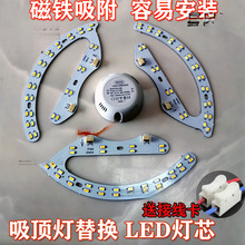 D�L�ȟ���Դ�A�Ο��P��픟��R�������b���l�͏d����NƬ��о